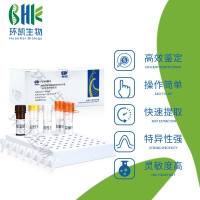 产气荚膜梭菌核酸检测试剂盒(PCR-荧光探针法) 环凯 FZ003BF2