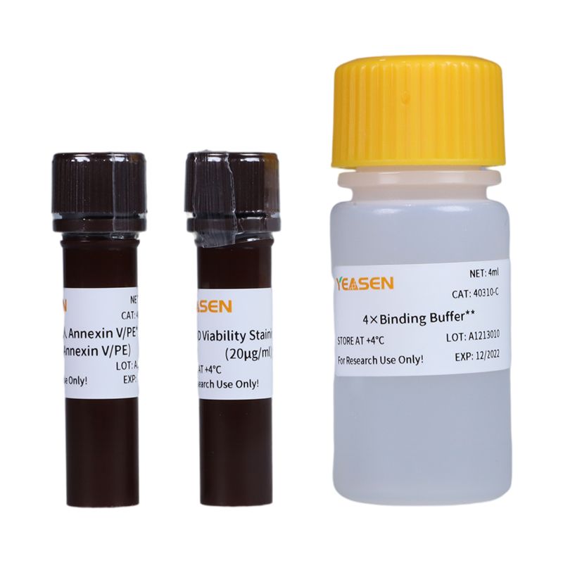 Annexin V-PE/7-AAD细胞凋亡检测试剂盒
