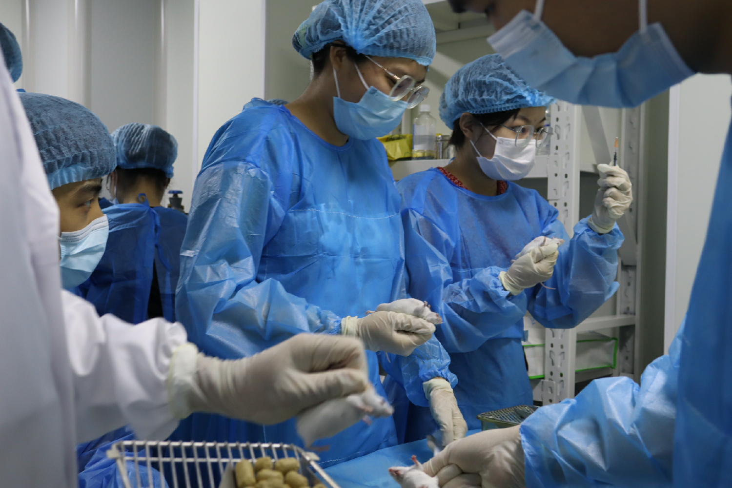 2022年最后一场动物实操培训！来报名吧！