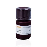 蛋白质银染试剂盒 Protein Silver Stain Kit