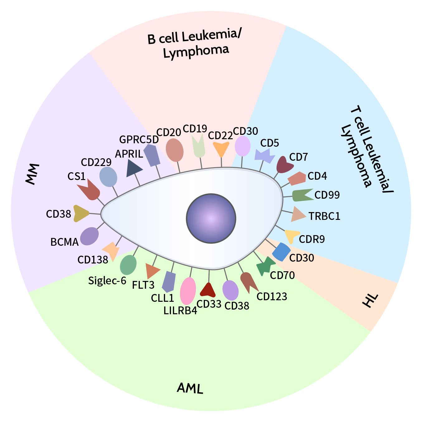 血液瘤CAR靶点大盘点