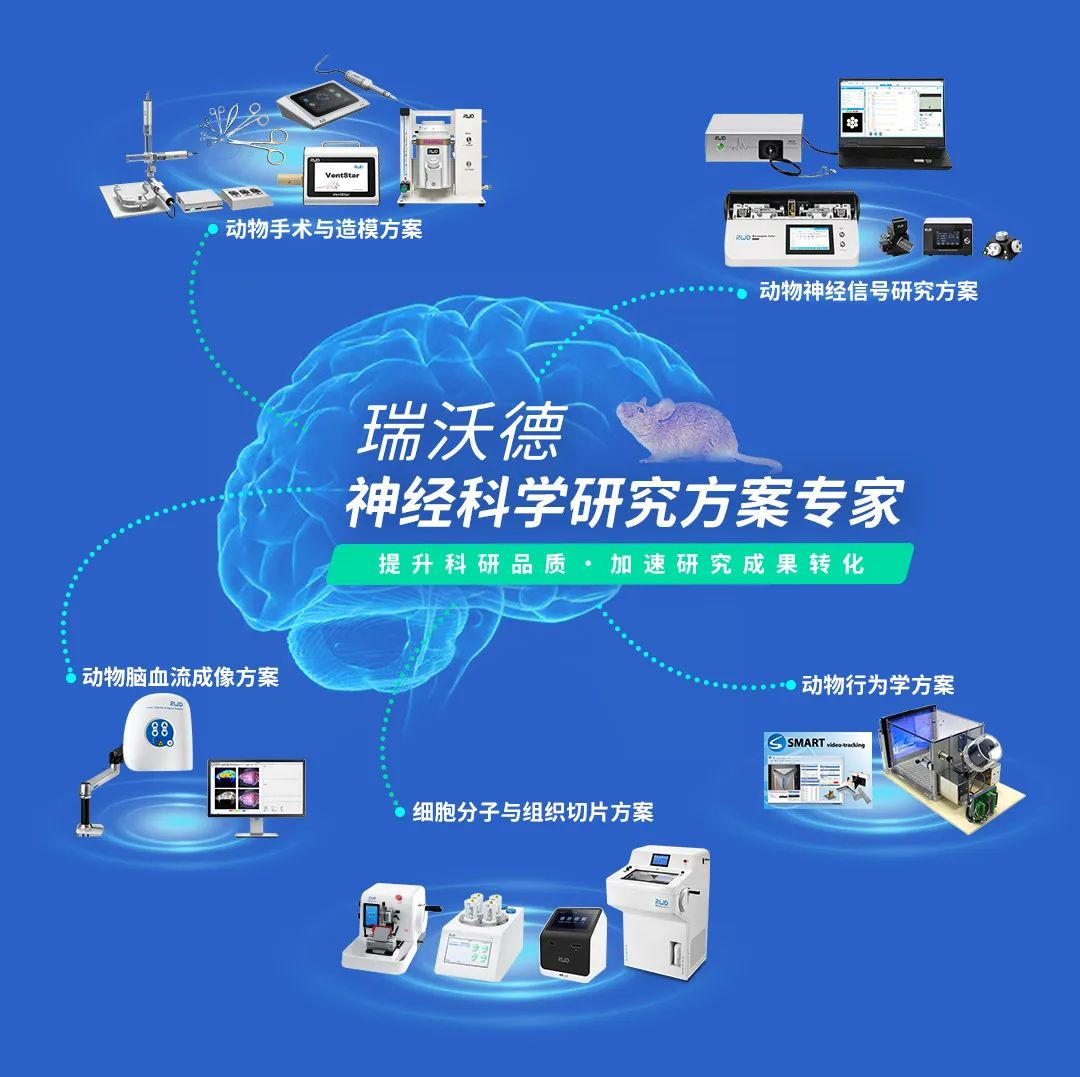 20年创新自研，瑞沃德致力于生命品质的提升