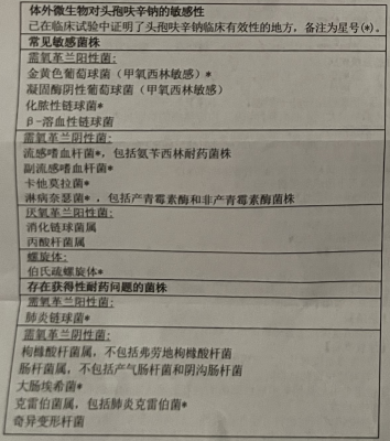 图片预览