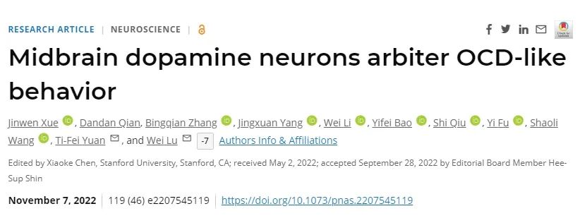 IF=12.78【客户文章】PNAS：复旦/东大陆巍教授与上海交大袁逖飞教授团队合作揭示中脑多巴胺神经元调控强迫症的神经机制