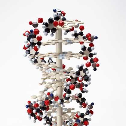 10309-37-2、补骨脂酚、Bakuchiol、≥98%
