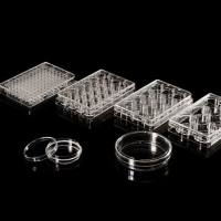 6孔细胞培养板，平底，TC处理