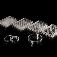 96孔细胞培养板，平底，TC处理