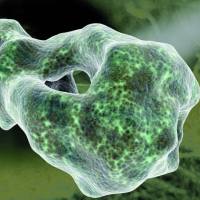 蛋白质组学检测