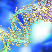 分子生物学检测