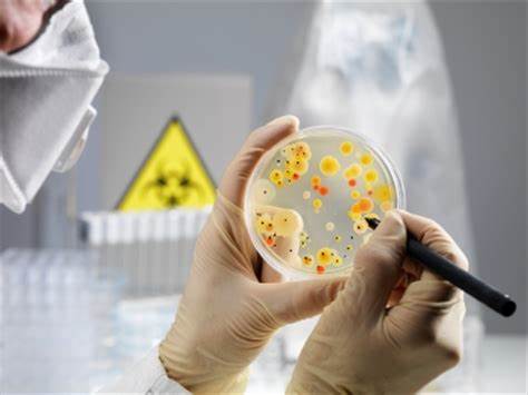 生物发酵过程中有哪些关键调控因素