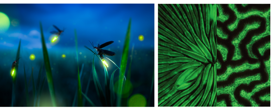 常见生物发光成像技术有哪些难题，如何解决？