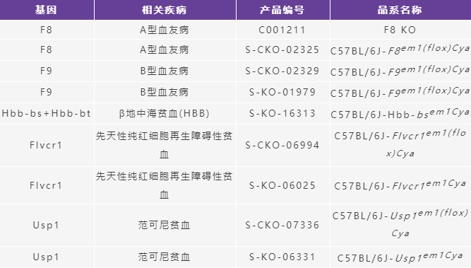 破除“血脉诅咒”,看F8 KO小鼠模型如何助力攻克血友病