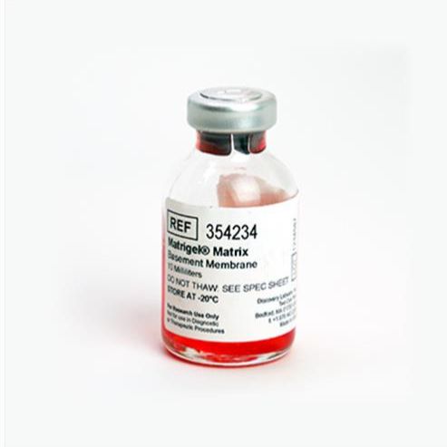 BD Biocoat 354234 Matrigel 基质胶，LDEV-free