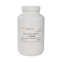 SDS十二烷基硫酸钠(Sodium Dodecyl Sulfate)