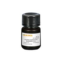 氧化型谷胱甘肽 Glutathione, Oxydized (GSSG)