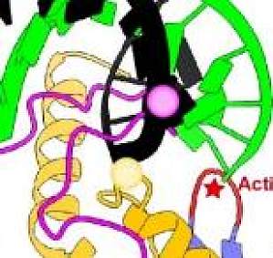 丁香实验推荐阅读
