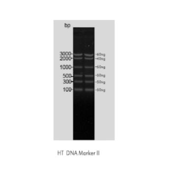 M05-01 OMEGA HT DNA Marker II