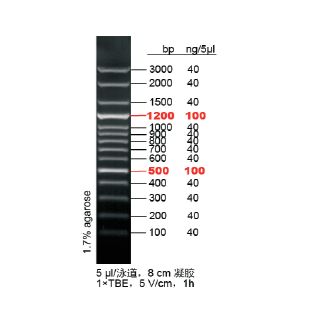 M08-01 OMEGA 100bp DNA Ladder Plus