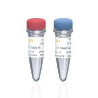 TEV Protease烟草蚀纹病毒蛋白酶