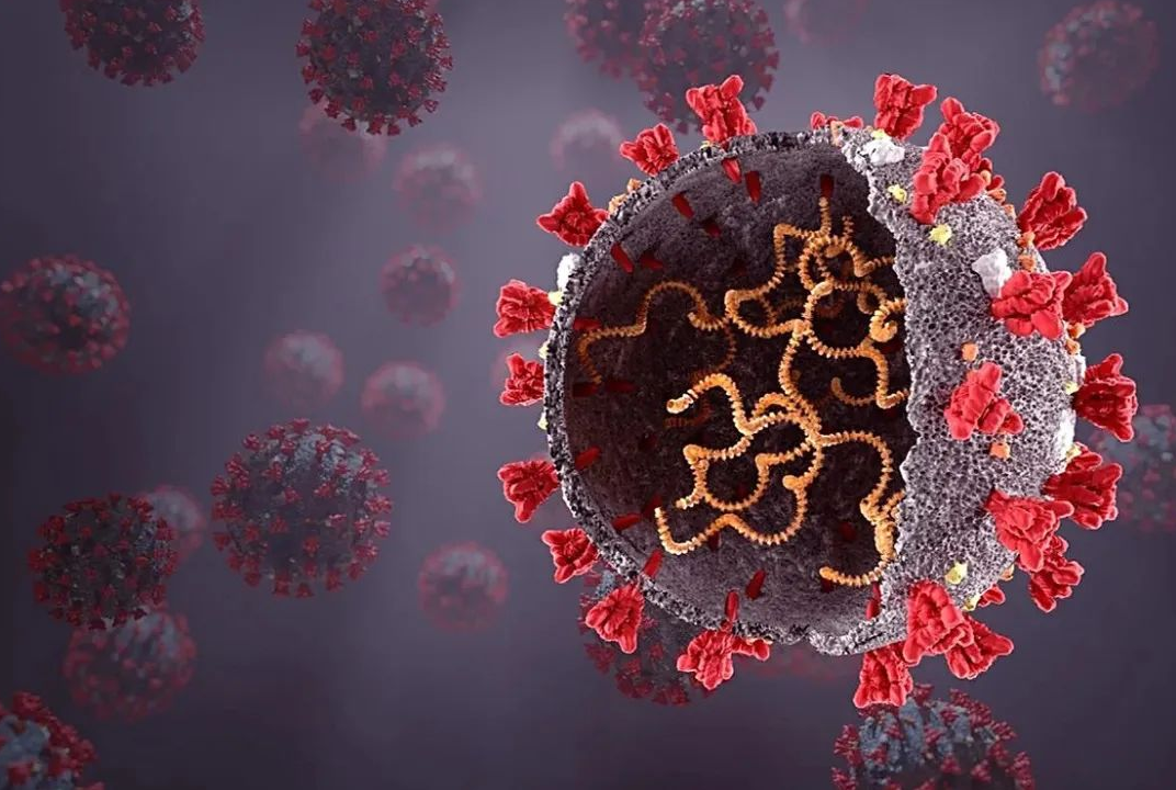 【NEW科研汇总】新冠有后遗症吗？二次感染会加重吗？