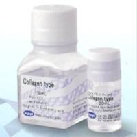 Nippi低内毒素胶原 · 明胶