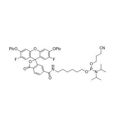 FAM-xtra 亚磷酰胺