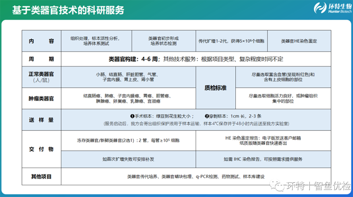 喜迎双“旦” ，放肆打“价”丨类器官 + 斑马鱼PDX肿瘤患者药敏检测、科研服务福利大放送！
