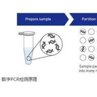 数字PCR技术服务