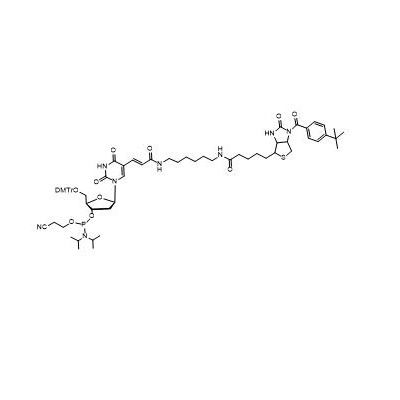 Biotin-dT Phosphoramidite