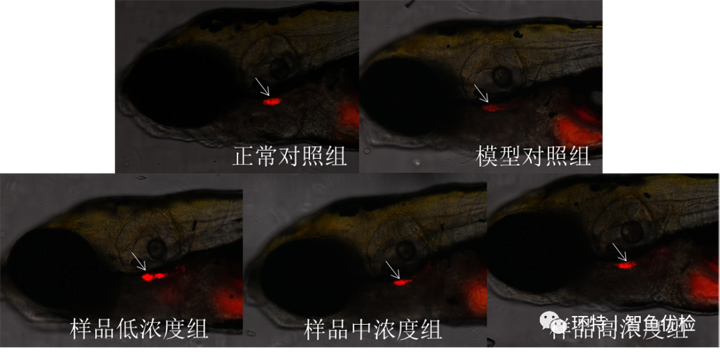 新闻图片7