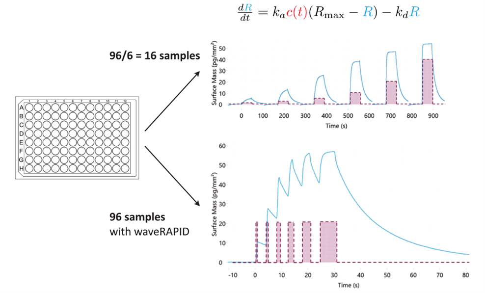 【热门应用】WAVE在本届生物物理大会掀起GCI技术“热浪”