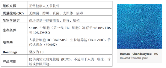 原代细胞厂家浅谈之-- Cell Applications 