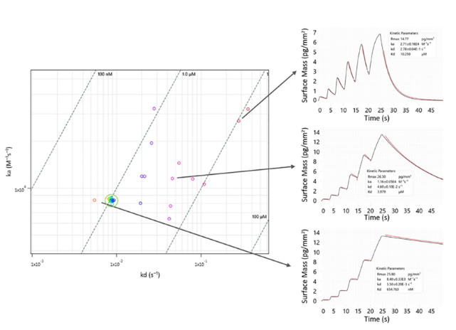 【热门应用】WAVE在本届生物物理大会掀起GCI技术“热浪”