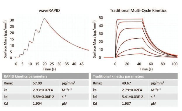 【热门应用】WAVE在本届生物物理大会掀起GCI技术“热浪”
