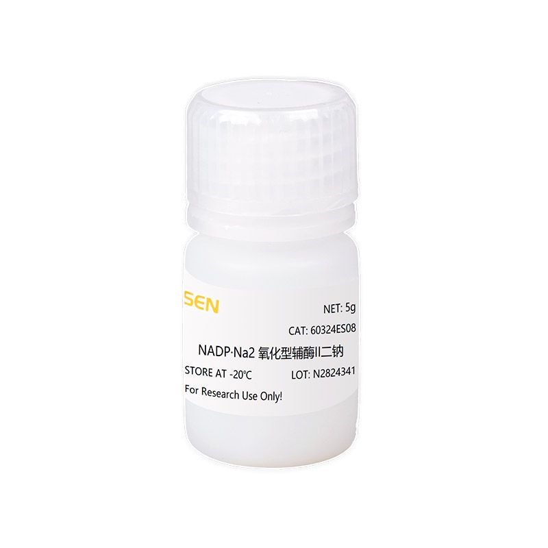NADP•Na2 氧化型辅酶II二钠
