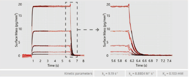 【热门应用】WAVE在本届生物物理大会掀起GCI技术“热浪”