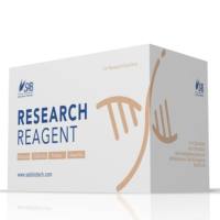 昆虫蛋白提取试剂盒