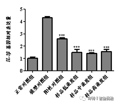 新闻图片6