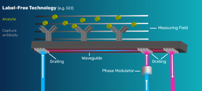 【热门应用】WAVE在本届生物物理大会掀起GCI技术“热浪”