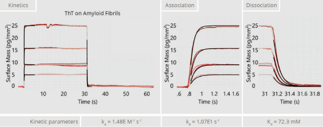 【热门应用】WAVE在本届生物物理大会掀起GCI技术“热浪”