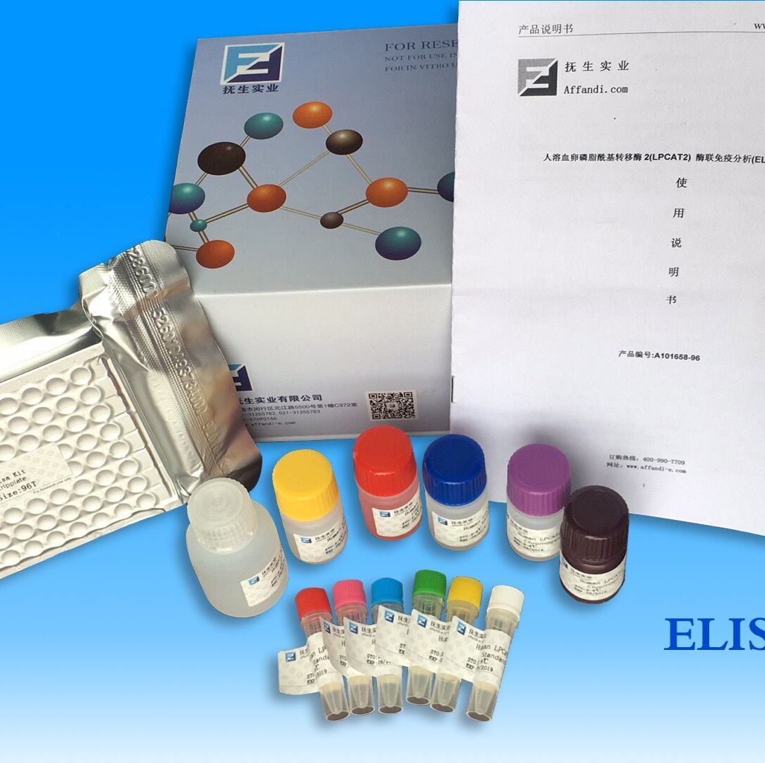 人痉挛性截瘫蛋白11(SPG11)ELISA试剂盒