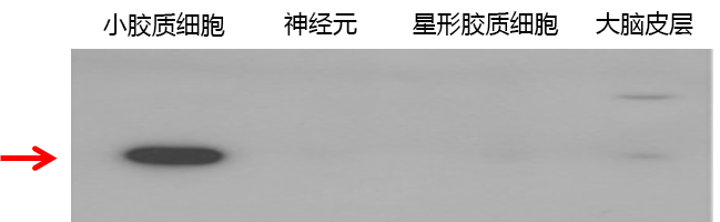 产品细节图片10