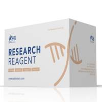 组织蛋白提取试剂盒