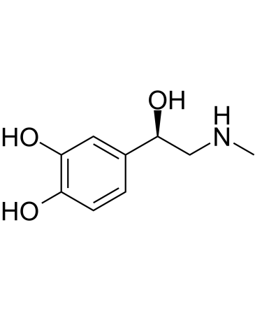 L-Epinephrine是由肾shang腺髓质分泌的激素。