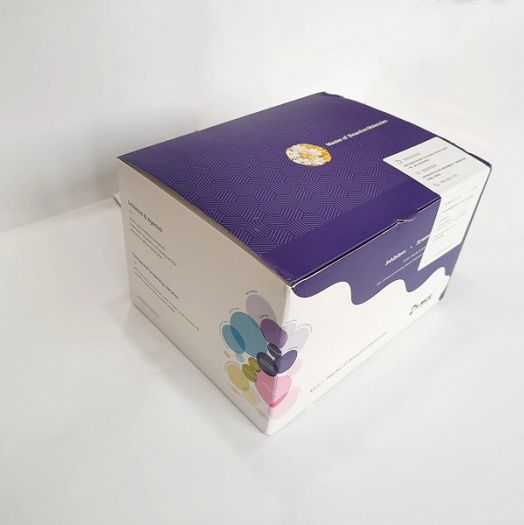 Pyrazinamide 是一种有效的口服抗结核类抗生。