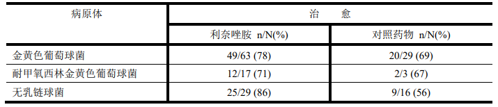 图片预览