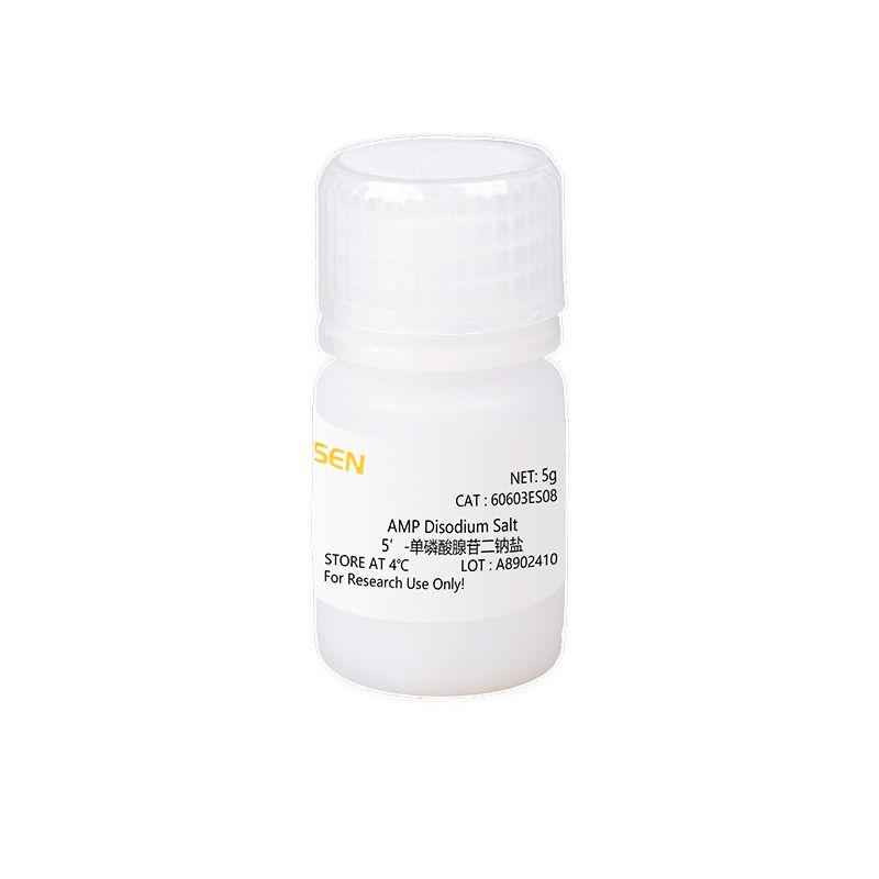 AMP（5’-单磷酸腺苷二钠盐） AMPK激酶激活剂