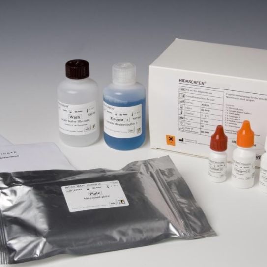 人血管紧张素Ⅱ(ANG-Ⅱ)ELISA试剂盒