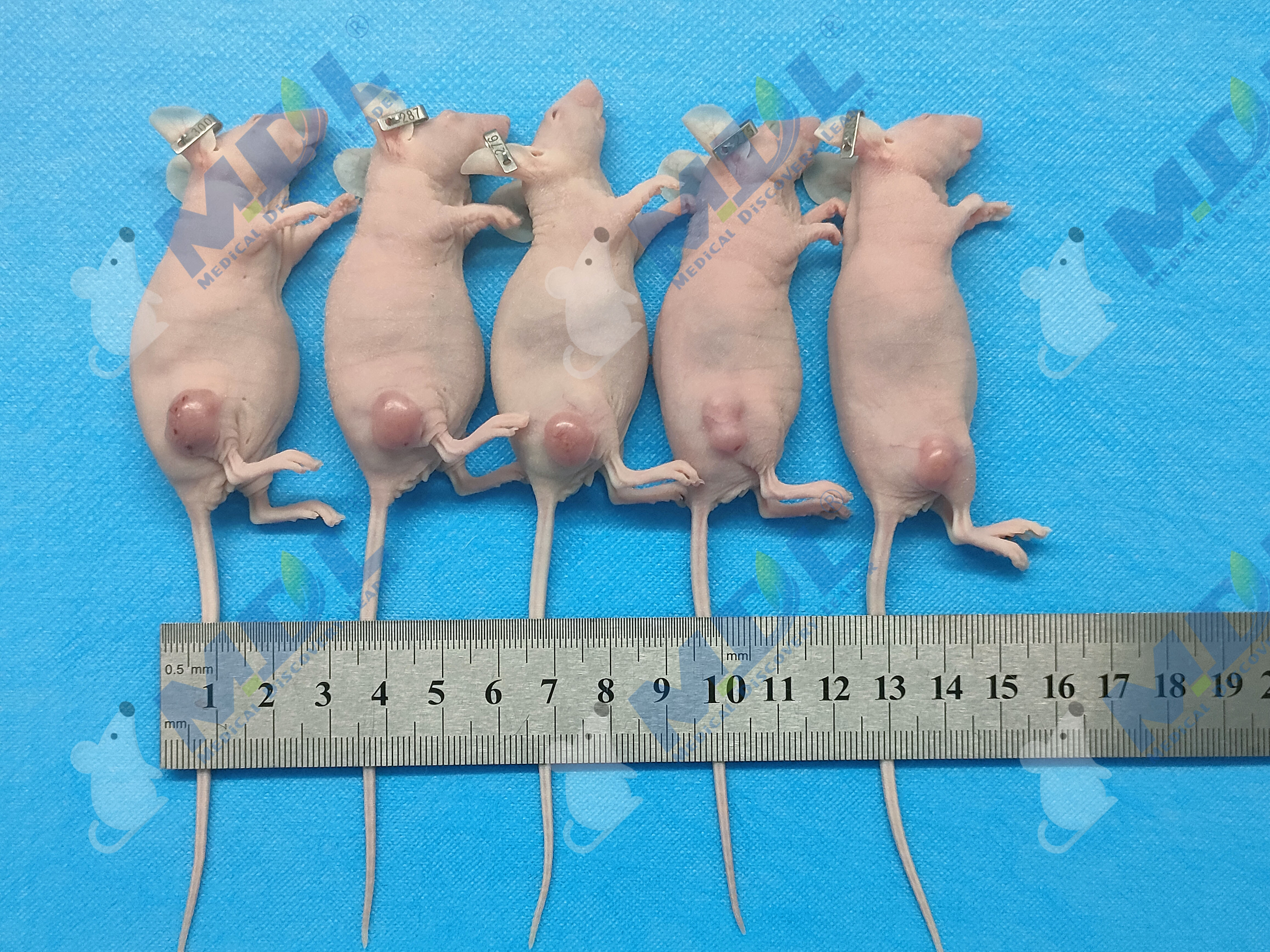 产品细节图片3