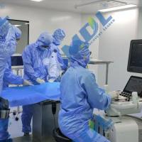 400+已验证动物模型,可按需定制